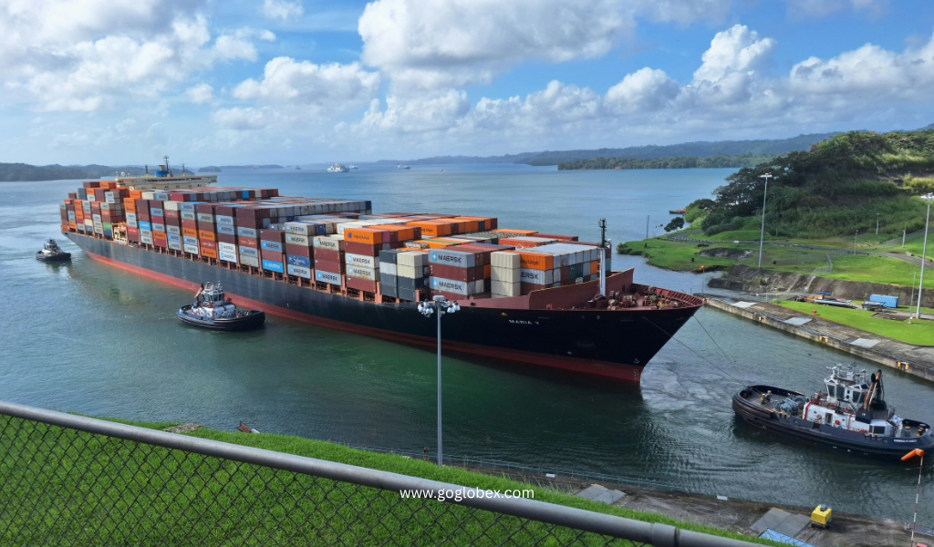 Best Cargo Shipping Companies from Canada to India