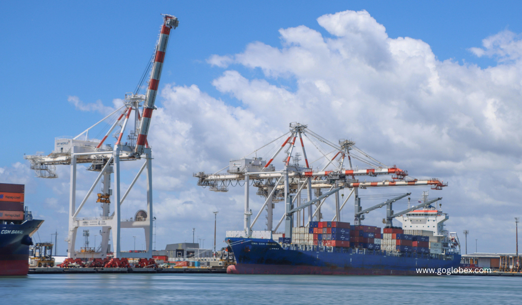 Ocean Freight Consolidation: How Businesses Reduce Shipping Costs?